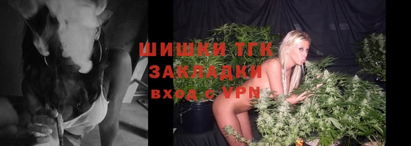 первитин Богородицк