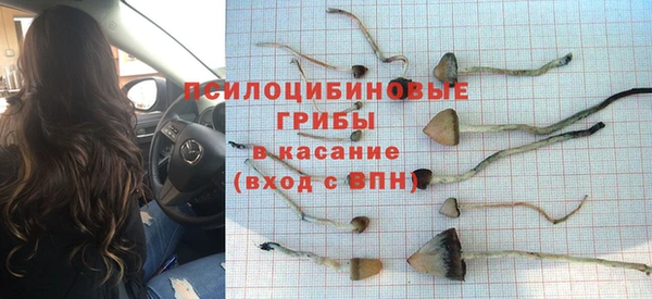 первитин Богородицк