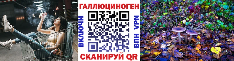 Псилоцибиновые грибы Psilocybine cubensis  Ленинградская 